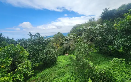 Участок 1000 м² с видом на море, фото 2