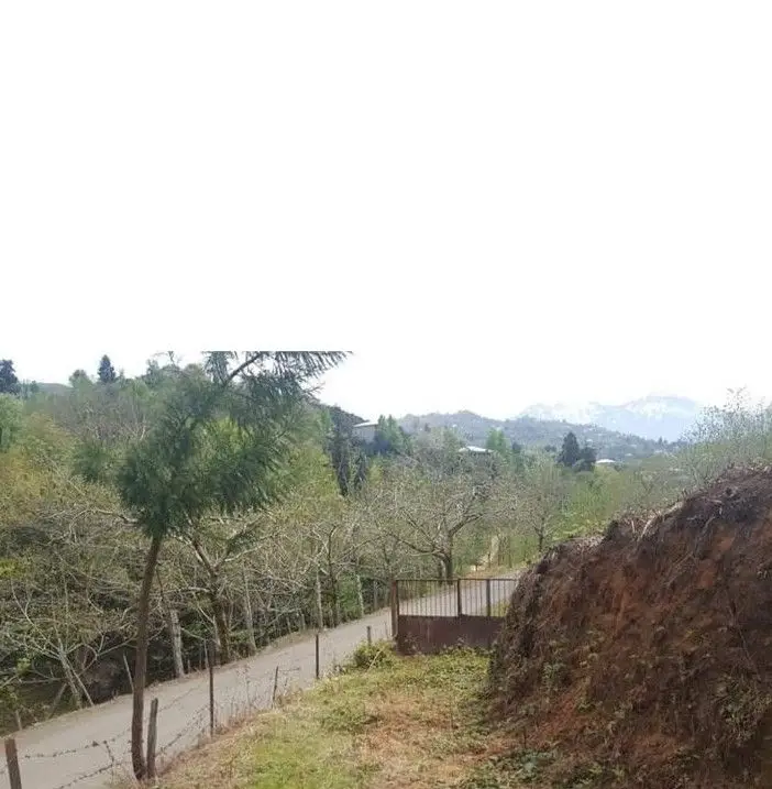 Investment Land Plot of 10,024 sq.m in Sachino, photo 1