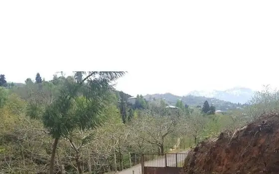 Investment Land Plot of 10,024 sq.m in Sachino - image 1