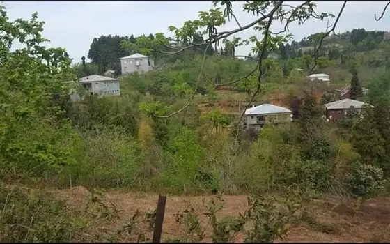საინვესტიციო მიწის ნაკვეთი 10024 კვ.მ საჩინოში, ფოტო 5