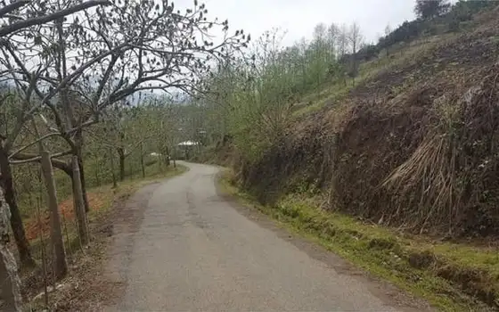 საინვესტიციო მიწის ნაკვეთი 10024 კვ.მ საჩინოში, ფოტო 4