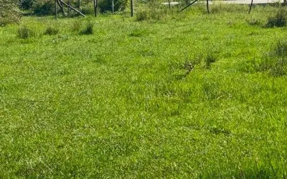 Земельные участки у пляжа в Уреки, фото 2