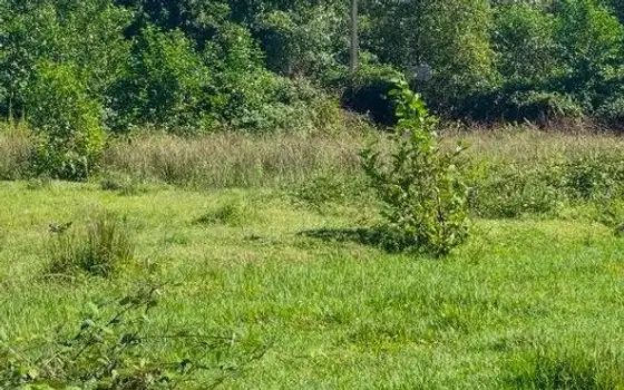 Land Plots Near the Beach in Ureki - image 1