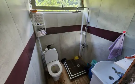 Двухэтажный дом 300 м² с участком 1500 м² в Варшаломидзееби, фото 11