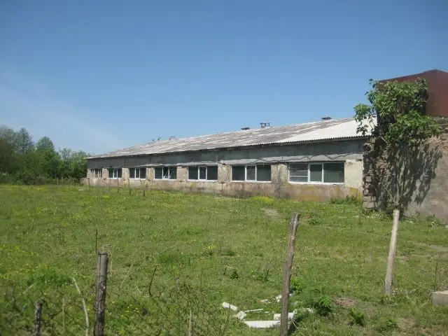 Farm with House in Marani 30 ha, photo 1