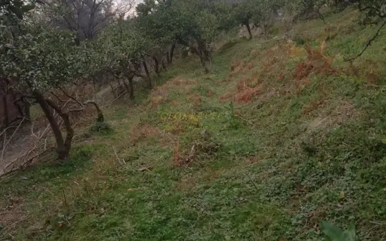 Земельный участок с видом на море в тихом районе.