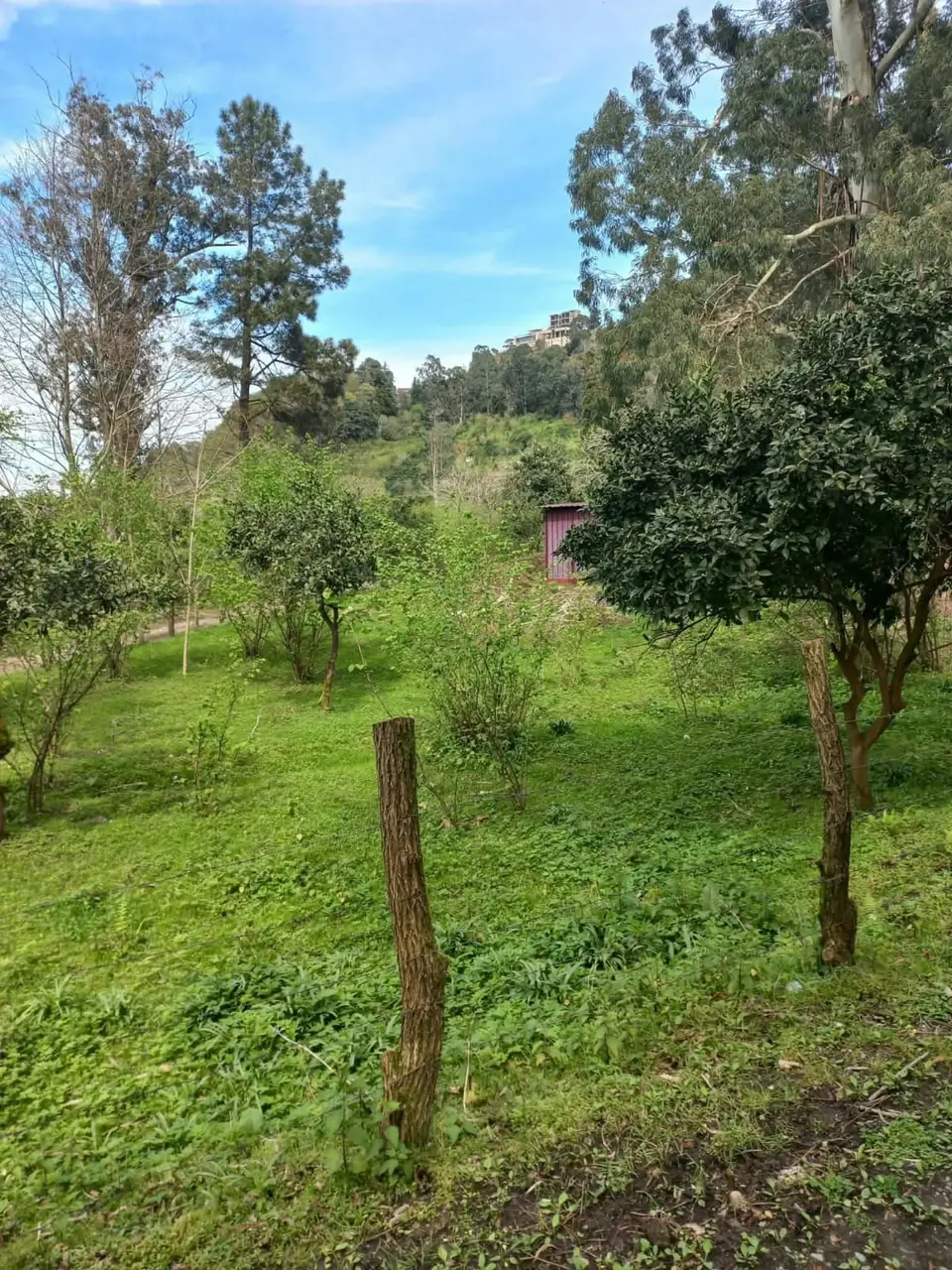 939 m² Land Plot Near Gonio Fortress