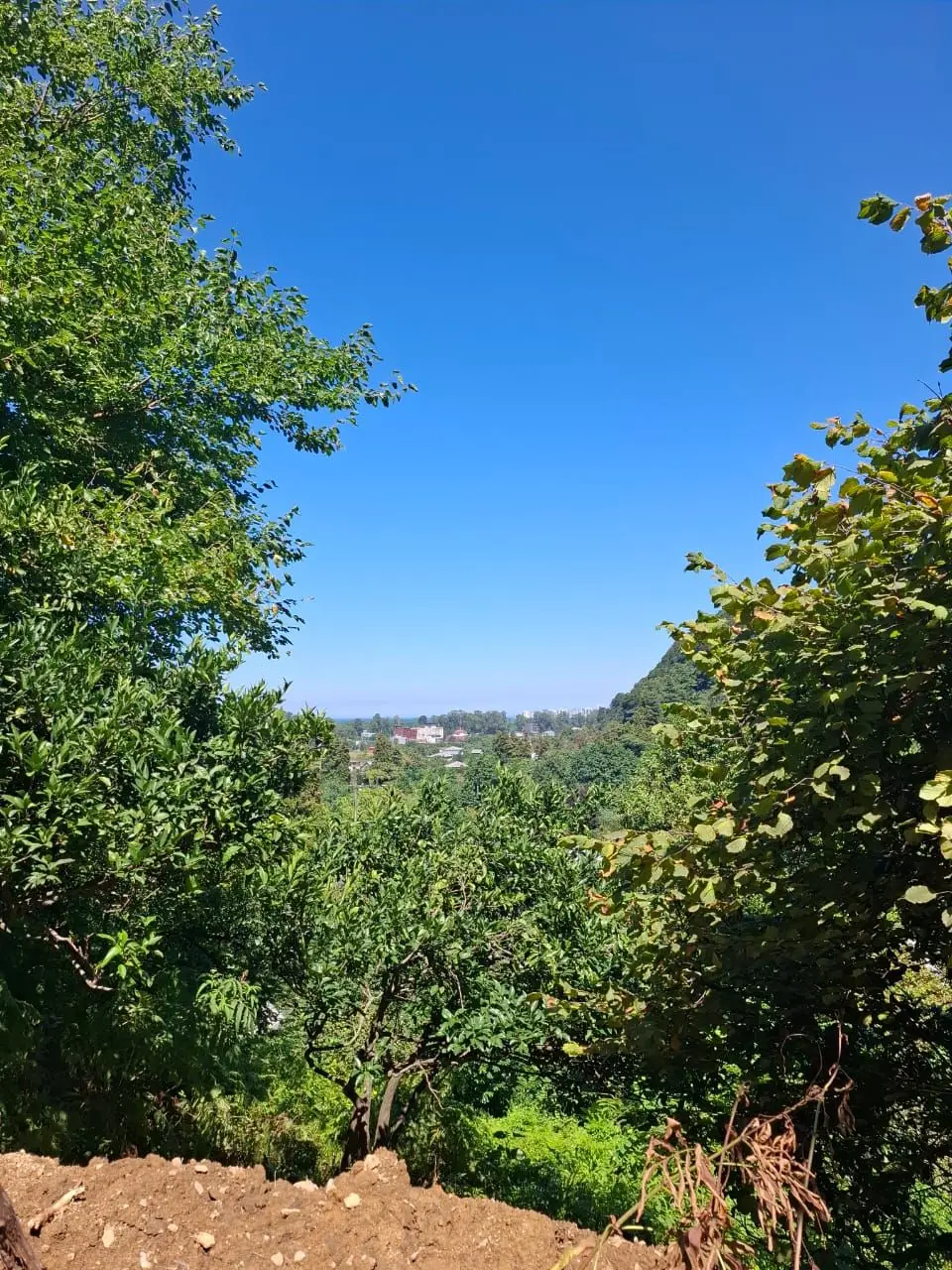 2528 m² Plot Near Gonio Fortress, photo 1