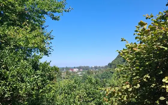 2528 m² Plot Near Gonio Fortress - image 1