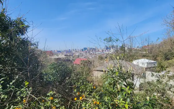 საკუთარი სახლი დიდი ნაკვეთით და ზღვის ხედით ბათუმში, ფოტო 9