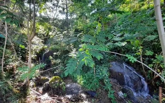 1,057 m² Land Plot in Gonio with Sea View, photo 7