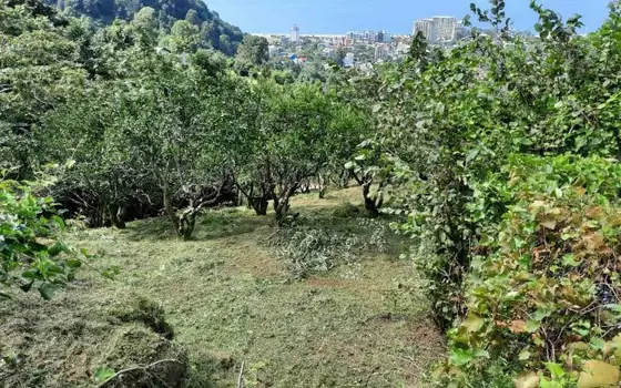 1,057 m² Land Plot in Gonio with Sea View, photo 8