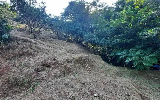 1,057 m² Land Plot in Gonio with Sea View, photo 10