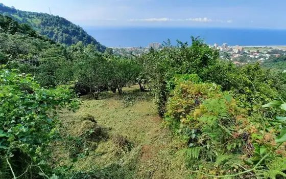 1,057 m² Land Plot in Gonio with Sea View, photo 3
