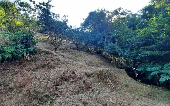 1,057 m² Land Plot in Gonio with Sea View, photo 11