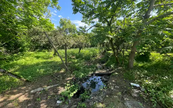 Инвестиционный участок 906 м² в Чакви у моря и реки, фото 2