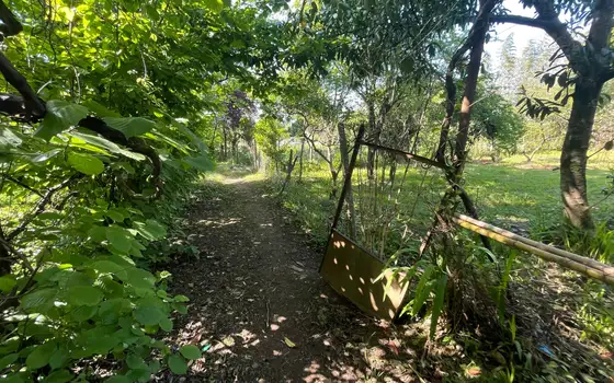 Инвестиционный участок 906 м² в Чакви у моря и реки, фото 9