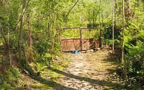 House with a Green Land Plot in Tsinsvla, 10 Minutes from Batumi, photo 6
