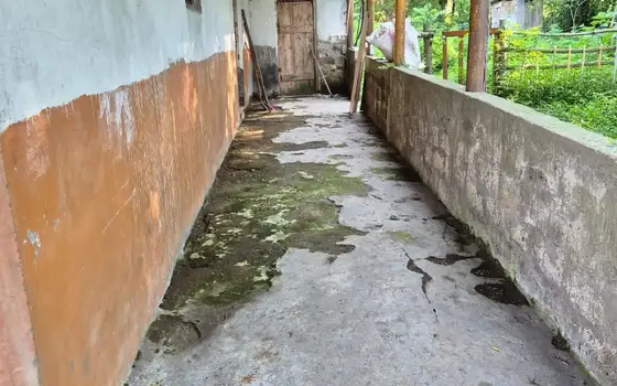 Большой дом с участком на берегу реки Супса, фото 10
