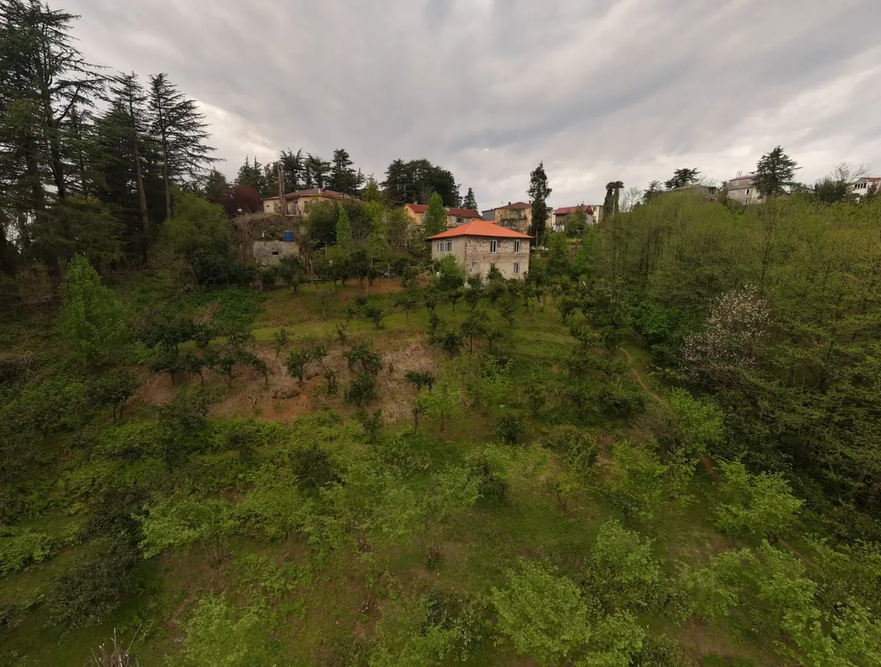 Investment Land with a House and Mountain Views in Akhalsopeli–Avgia, photo 1