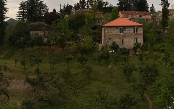 Investment Land with a House and Mountain Views in Akhalsopeli–Avgia, photo 10