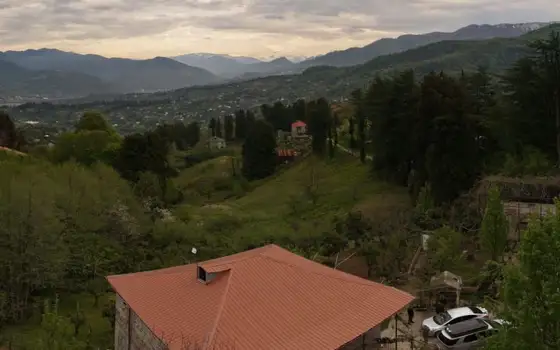 Investment Land with a House and Mountain Views in Akhalsopeli–Avgia, photo 7