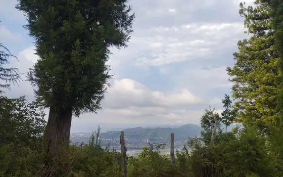 Investment Land with a House and Mountain Views in Akhalsopeli–Avgia, photo 8