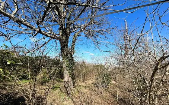 1,070 m² Land Plot with Sea and Batumi Views in Akhalsopeli, photo 6