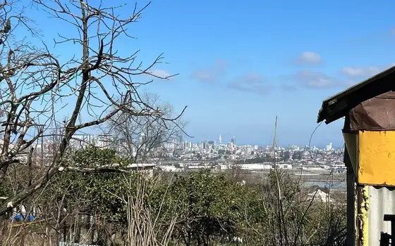 1,070 m² Land Plot with Sea and Batumi Views in Akhalsopeli, photo 2