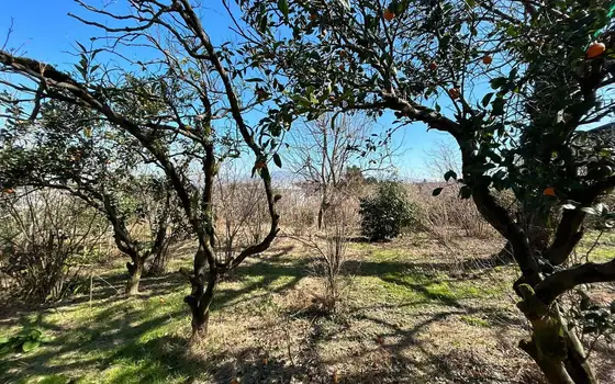 1,070 m² Land Plot with Sea and Batumi Views in Akhalsopeli, photo 3