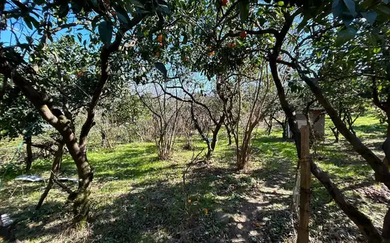 1,070 m² Land Plot with Sea and Batumi Views in Akhalsopeli, photo 9