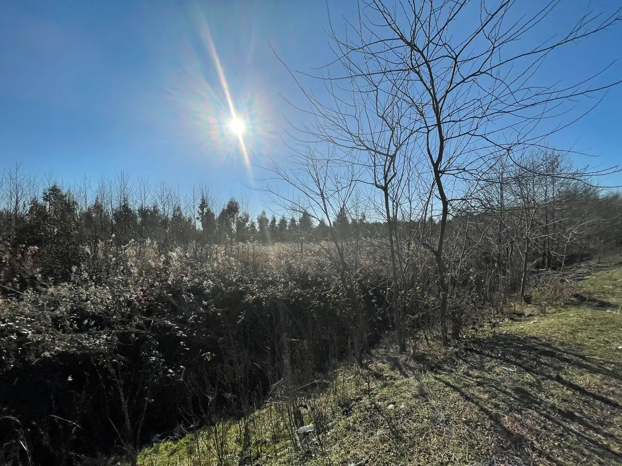 2,300 m² Land Plot Near the Coast in Shekvetili, photo 1