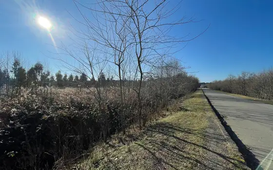 2,300 m² Land Plot Near the Coast in Shekvetili, photo 2