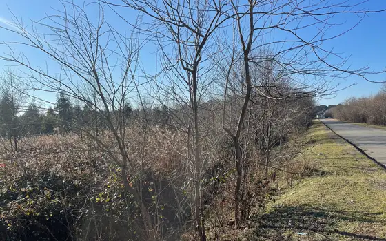 2,300 m² Land Plot Near the Coast in Shekvetili, photo 6