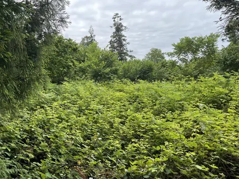 Продается земельный участок в дикой природе в тихом месте в Чарнали.