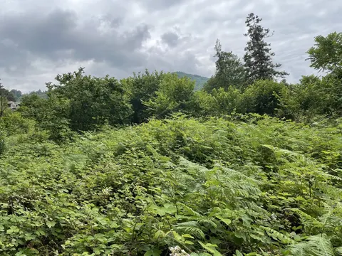 Продается земельный участок в дикой природе в тихом месте в Чарнали.
