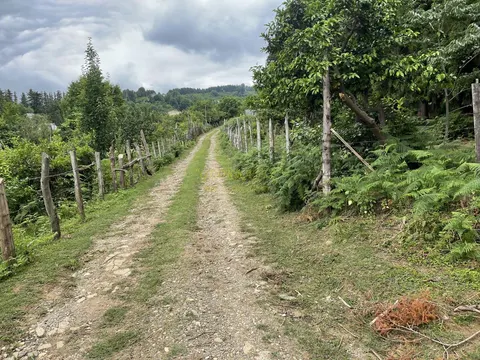 Продается земельный участок в дикой природе в тихом месте в Чарнали.