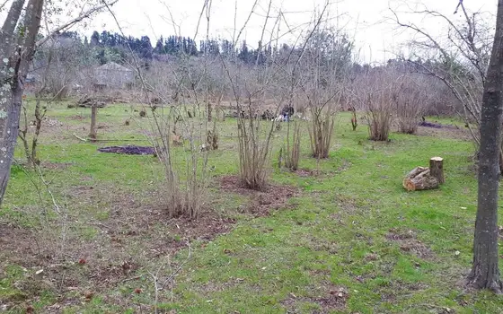 1500 m² Land Plot in Ureki, photo 3