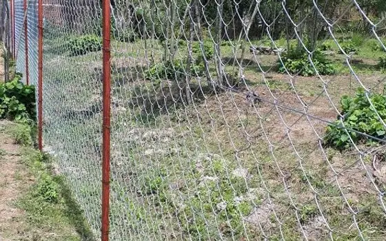 1500 m² Land Plot in Ureki, photo 4