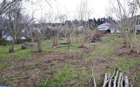 1500 m² Land Plot in Ureki, photo 2