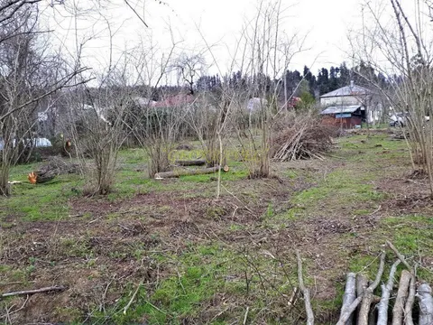 Срочно продается 1500 кв. земельный участок в Уреки у моря 1,5 км.