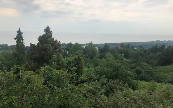 Продается земельный участок с шикарным видом на море в Цихисдзири., фото 4