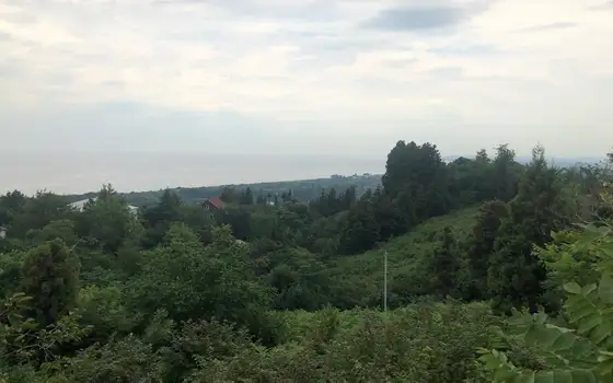 Продается земельный участок с шикарным видом на море в Цихисдзири., фото 12