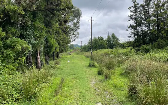 1501 m² Land Plot in Ureki, photo 8