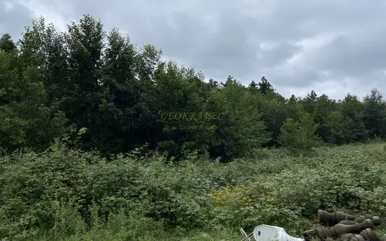 Срочно продается земельный участок в 1 км от моря в Уреки.