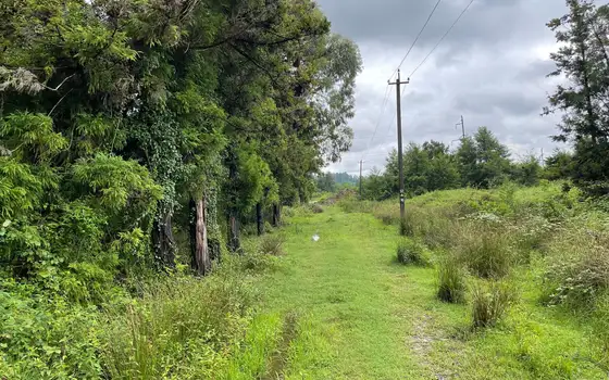 1501 m² Land Plot in Ureki, photo 9