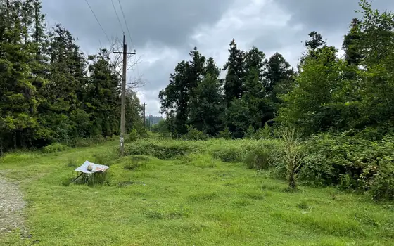 1501 m² Land Plot in Ureki, photo 5