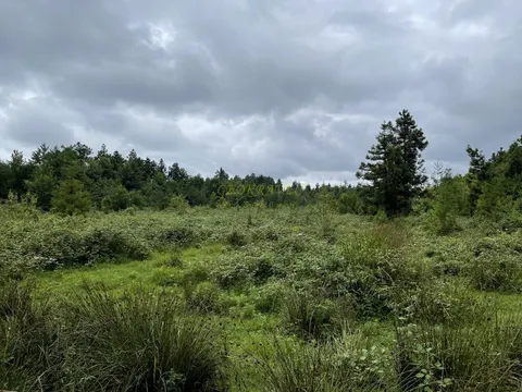 Срочно продается земельный участок в 1 км от моря в Уреки.