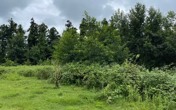 1501 m² Land Plot in Ureki, photo 4