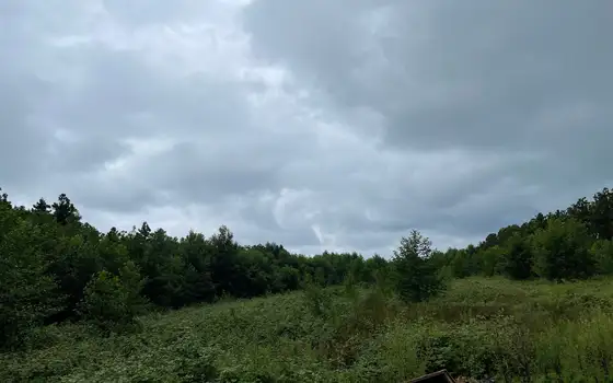 1501 m² Land Plot in Ureki, photo 7